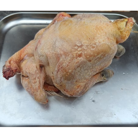 Poulet entier non vidé