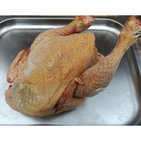 Poulet entier non vidé